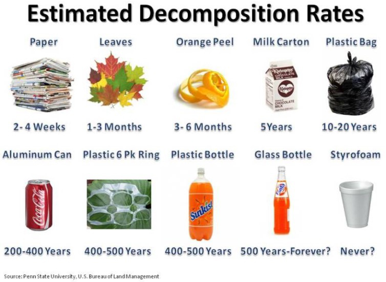 estimated-decomposition-rates
